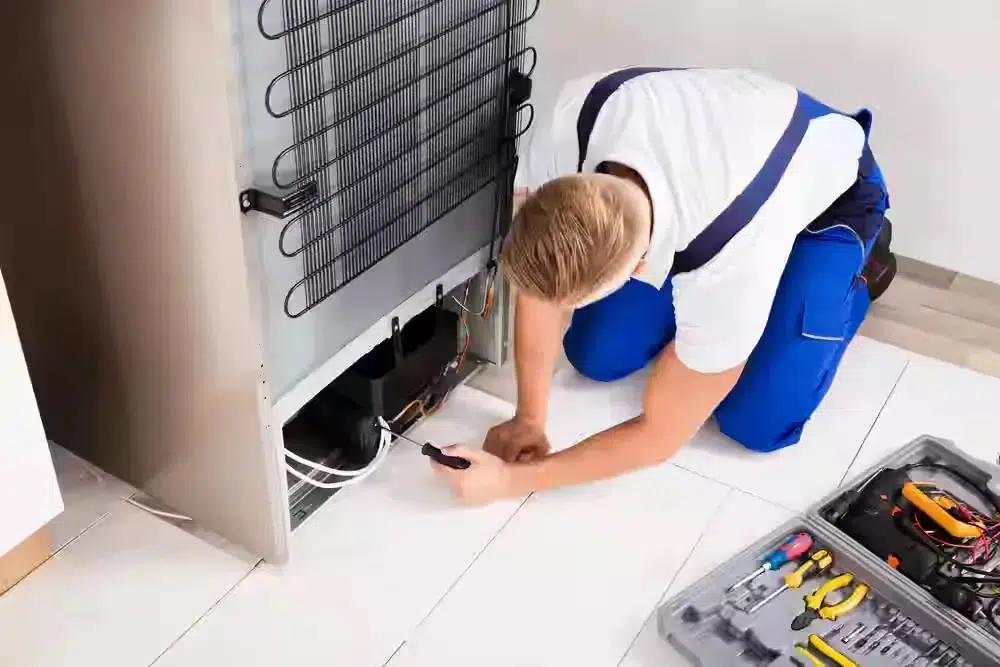 Fridge Repair